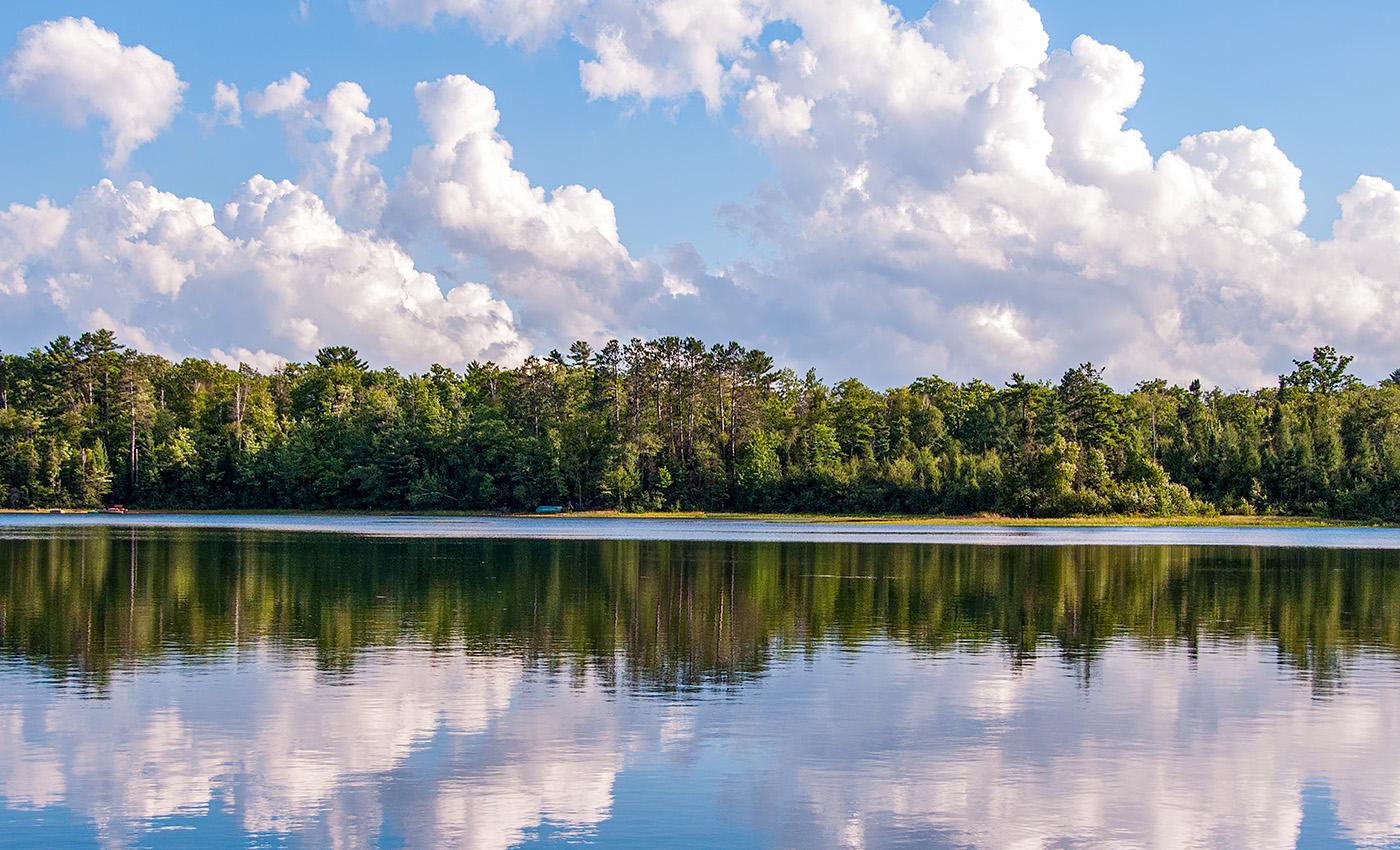 Read more about the article Managing your lake shoreline buffers for healthy waters