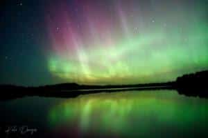 Read more about the article Northern Lights dazzle Vilas night skies